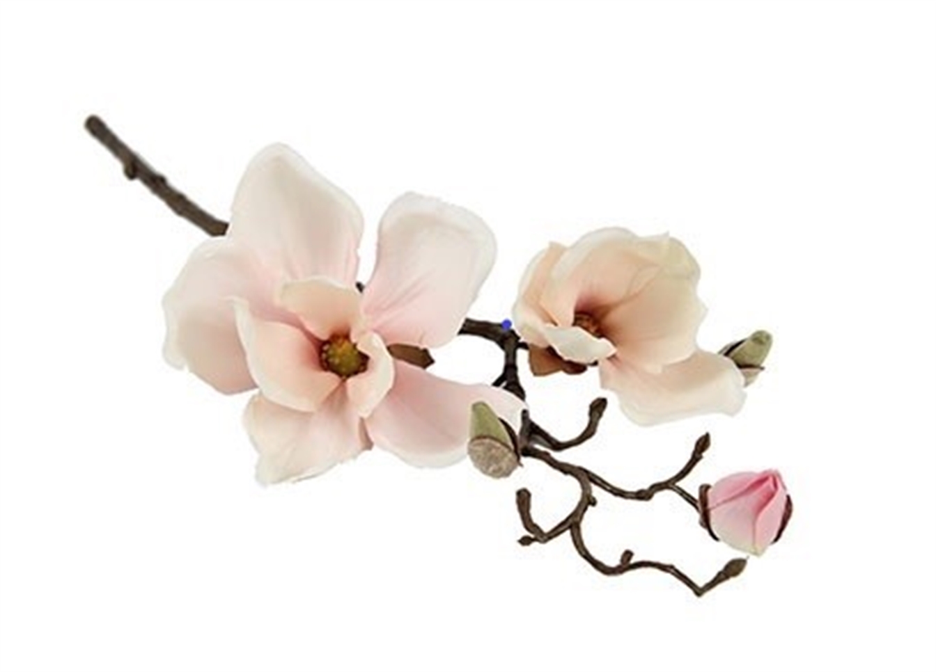 Magnolia tak zijde